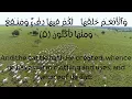 Download Lagu Surah An Nahl / Ayat - 5