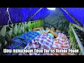 Download Lagu diguyur hujan deras siang malam, wow mengerikan tidur diatas rumah pohon fishing relaxing rain sound
