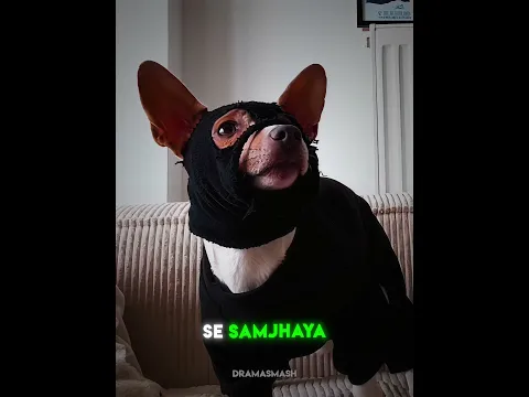 Dog’s Secret Mission to Get His Ball Back ♥️