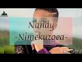 Nimekuzoea - Nandy(Official Video Lyrics)