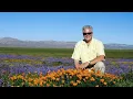 Road Trip EP54 Weaverville