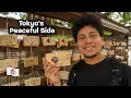 Download Lagu Een rustig toevluchtsoord in Tokio: Meiji Jingu-schrijn (\u0026 camera-uitrusting) – dag 14