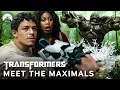 Download Lagu Transformers: Rise of the Beasts | Meet the Maximals 🦍 (Full Scene) | Paramount Movies