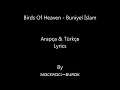 Download Lagu Birds of heaven - Buniyal Islam / Lyrics...