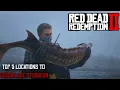 Top 5 Places To Catch Lake Sturgeon Red Dead Redemption 2