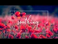 Poppy Fields 10 Hours of Ambient Music for DEEP Sleep Study Calming or Meditative Needs Zen
