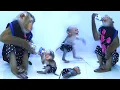 Download Lagu SokYaa STEALS Baby's Milk Until Baby CRIES! DRAMATIC MOMENT