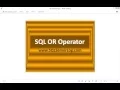 16 - SQL OR Operator