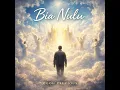 Bia Nulu