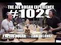Download Lagu Joe Rogan Experience #1029 - Tom DeLonge