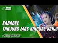 Download Lagu KARAOKE TANJUNG MAS NINGGAL JANJI - DANGDUT SLOW || IJJOO PRODUCTION