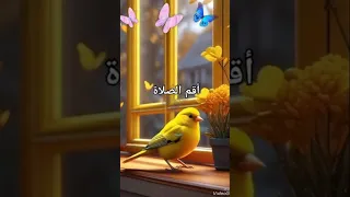 صوت مريح ما أجمل من سماع القرآن الكريم 