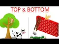 Concept of top and kindergarten special learning