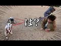 【意味不明】体重3桁のじんじんが犬の散歩で大負傷しました。