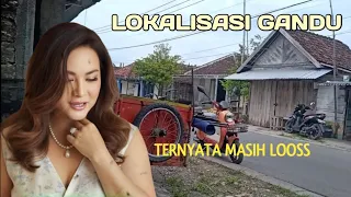 LOCALIZATION OF GANDU MARKET a place for mature ganyong entol