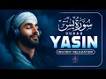 Surah Yasin (Yaseen) سورة يس | Ultimate Calming Recitation for Sleep \u0026 Relaxation | Zain Abu Kautsar