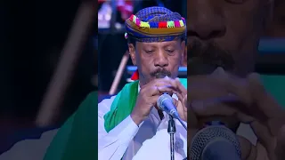 خطر غصن القنا بآلة المزمار الشعبية اليمنية  حفلة القاهرة  نغم يمني دندنها