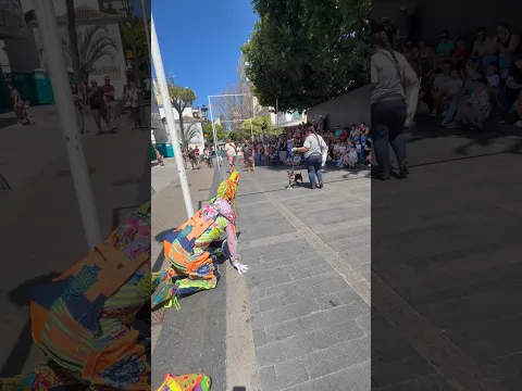 Karcocha se quería comer al perro