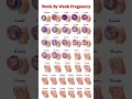 Download Lagu Pregnancy Week By Week #pregnancy #pregnancyweekbyweek #pregnancycare