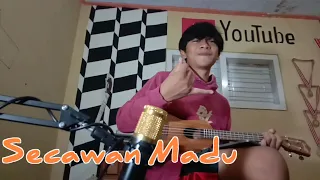 Download Secawan Madu - Ukulele Senar 4 (Lirik \u0026 Chord) MP3