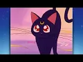 SAILOR MOON MEETS LUNA CLIP