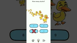 DOP4 Level4 Shrots Dop Dop4 