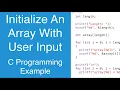 Initialize An Array With User Input C Programming Example