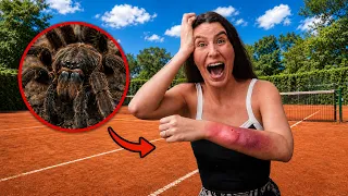 A GIOVANNA FOI PICADA POR UMA ARANHA VENENOSA E O PIOR ACONTECEU!