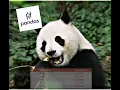 Displaying the data of the pandas DataFrame