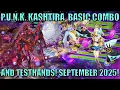 CAN T STOP THE PUNK - P U N K -KASHTIRA BASIC COMBO AND TESTHANDS POST BLMM September 2025