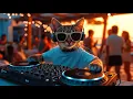Download Lagu DJ MIAWW – Sunset House Party 2025 🌅 Beach Vibes in Ibiza | Chill \u0026 Dance Mix with Cool Cat DJ