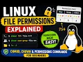 Linux File Permissions Explained chmod chown File Permission Commands for Beginners
