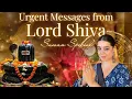 Download Lagu 🕉️Pick your DOB for Urgent Messages from Lord Shiva🔱आपकी जन्मतिथि के अनुसार शिव के महत्वपूर्ण संदेश