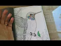 Can This 101 Calmness Coloring Book Really Calm Your Mind