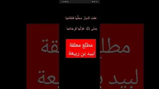 مطلع معلقة لبيد بن ربيعة لغة عربية شعر شعراء  مطلع معلقة لبيد بن ربيعة لغة عربية شعر شعراء