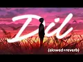 Dil - lo-fi (slowed+reverb) | Kaushik-Guddu, | Raghav Chaitanya,| Kunaal Vermaa