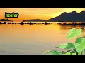 Omah Lay x Seyi Vibez - Healer (Official Lyric Video)