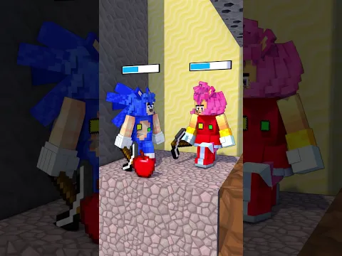 Sonic couple vs Shadow couple: Companionship Leads to Ultimate Victory !