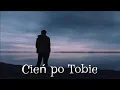Lagu Cień po Tobie - Polo Vibes (nowość disco polo 2025)