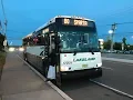Lakeland Bus Lines 60fps 2017 MCI D4500CT 17209 Beverwyck Rd Parsippany 18