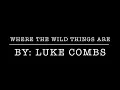 Where The Wild Things Are - Luke Combs