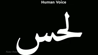                  لحس                 لحس              لحس دندنها