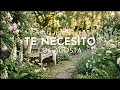 Los Acosta - Te Necesito (Visualizer)