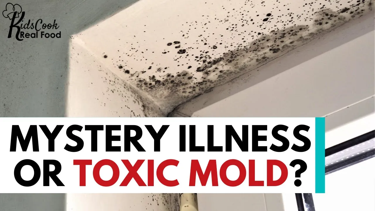 Could Mold be a Root Cause of...ADHD? Picky Eating? Your Mystery Illness? with Beth O