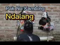 Lagu ANAK DURHAKA!!!!!!!!PAKNO KAMBING NDALANG MALAH DI GANGGU TIWOK WOKO CHANNEL