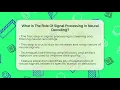 What Is The Role Of Signal Processing In Neural Decoding - Neurotech Insight Pro