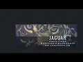 Download Lagu Pintura JAGUAR (Corto)