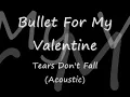 Bullet For My Valentine - Tears Don't Fall (Acoustic) :: With Lyrics