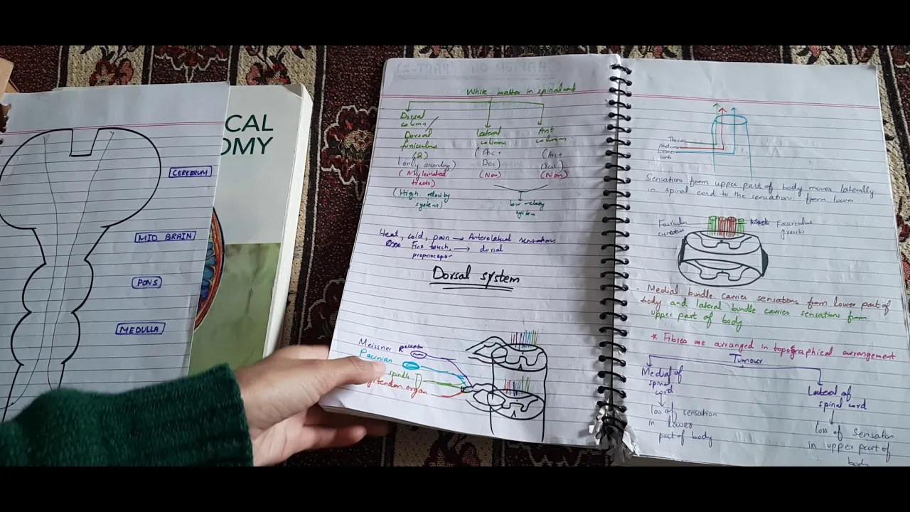 ASCENDING TRACTS of Spinal Cord (Part 1)with easy explanatory notes