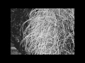 Download Lagu Last - A Short Film (Shot on Bolex Camera - 16mm BW)